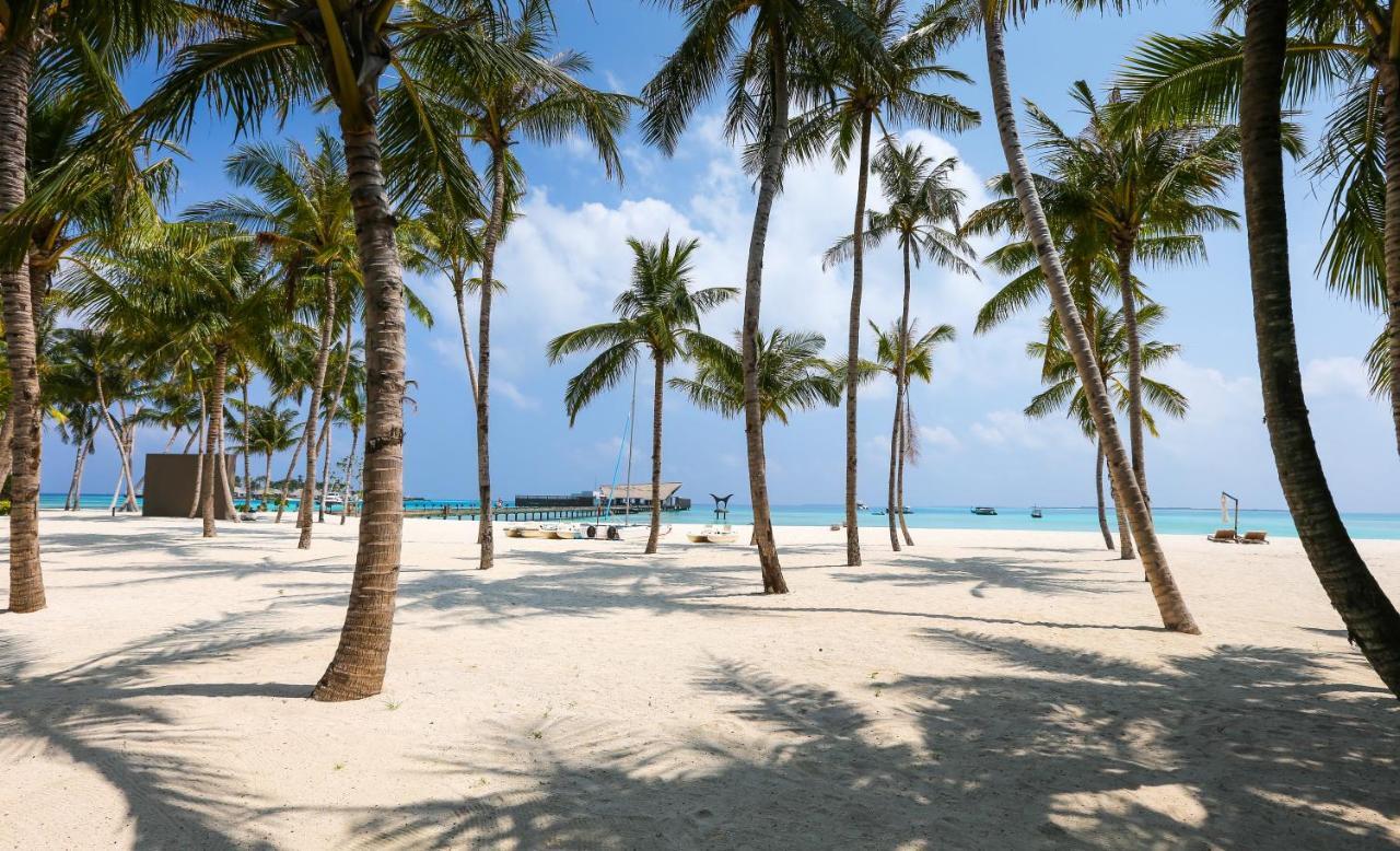 Hotel Blanco Tulum Adults Only المظهر الخارجي الصورة